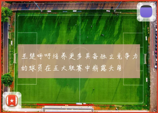 王楚呼吁培养更多具备独立竞争力的球员在五大联赛中崭露头角