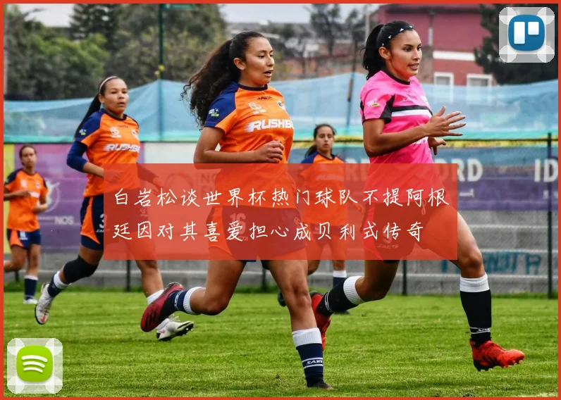 白岩松谈世界杯热门球队不提阿根廷因对其喜爱担心成贝利式传奇